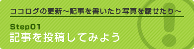 記事を投稿してみよう