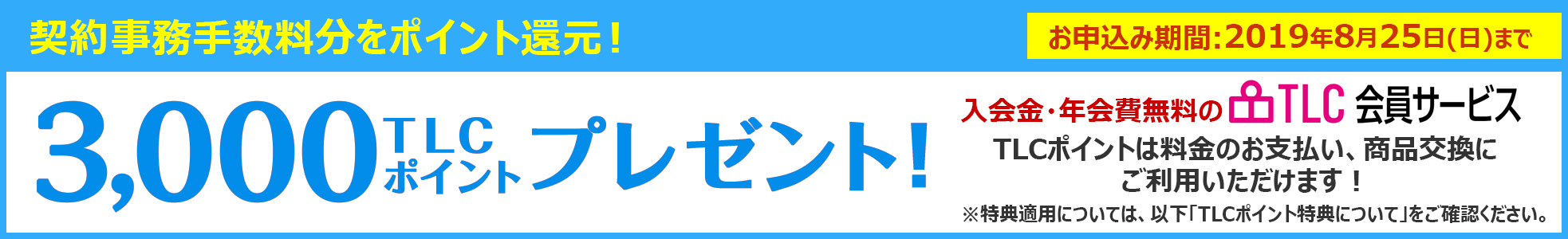 3000TLCポイントプレゼント!